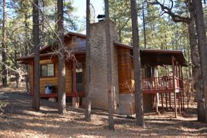 featured image of 237 E White Mountain Blvd #15