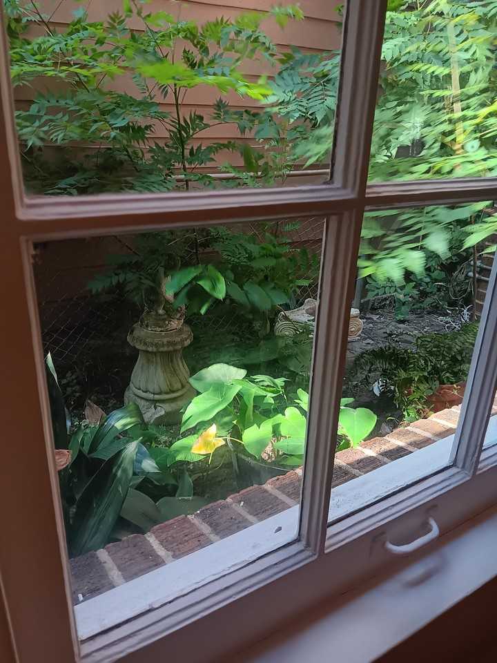2508 Van Buren St #1 - Photo 6 of 20