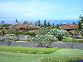 featured image of 50 Puu Anoano St #1701