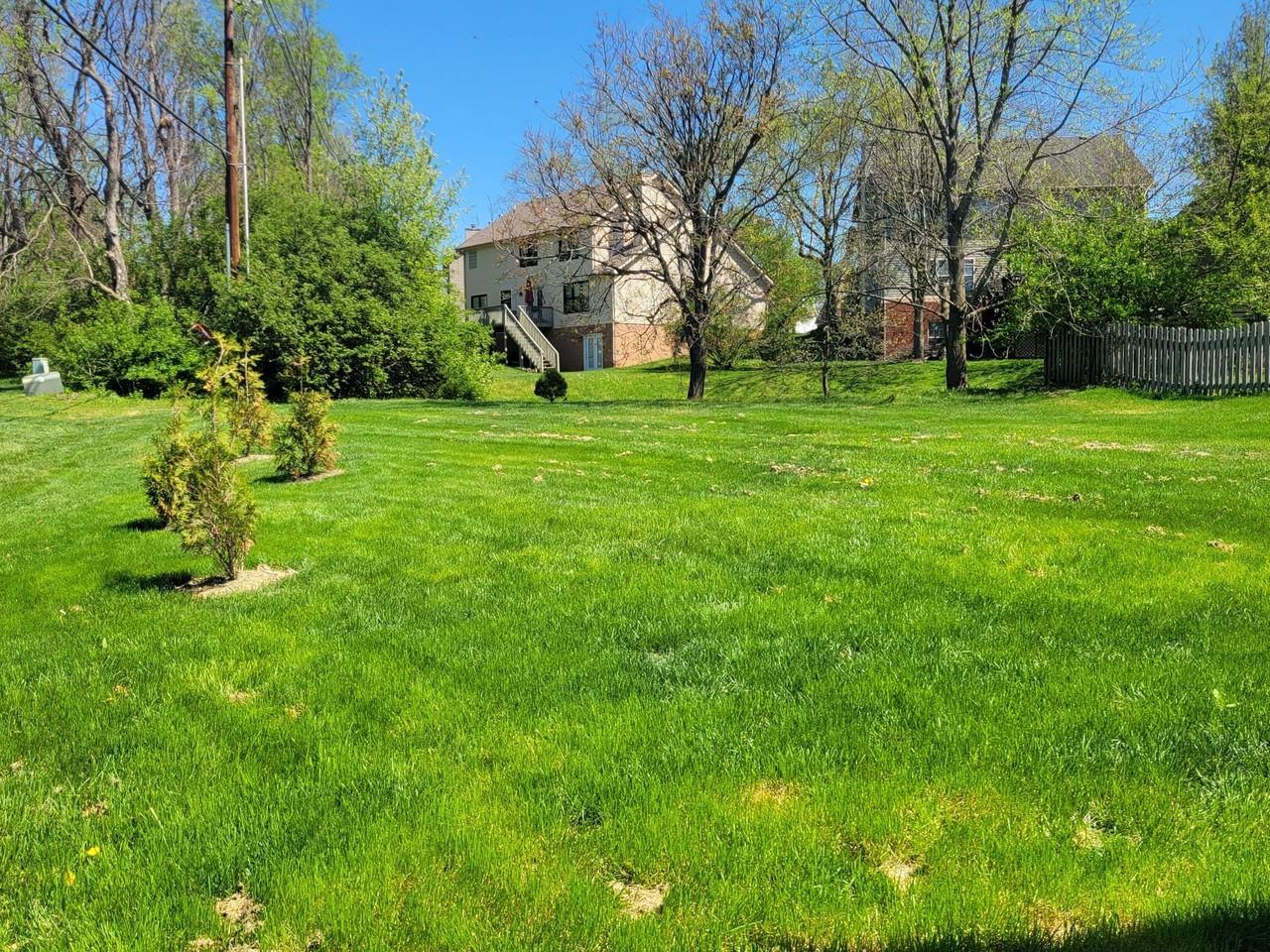 421 Forest Hill Dr - Photo 3 of 18