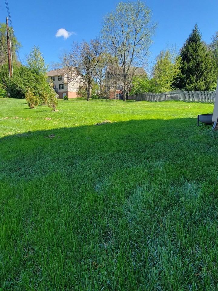 421 Forest Hill Dr - Photo 5 of 18