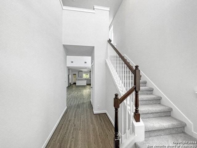 11234 Casina Vw - Photo 2 of 23