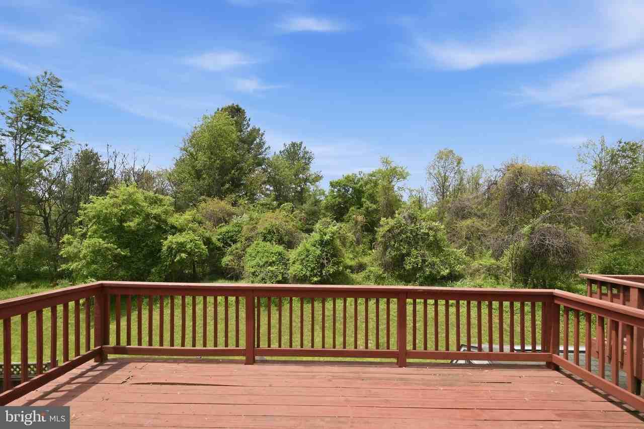 15622 Cliff Swallow Way - Photo 2 of 31