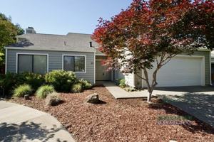 featured image of 41 Pine Tree Ct