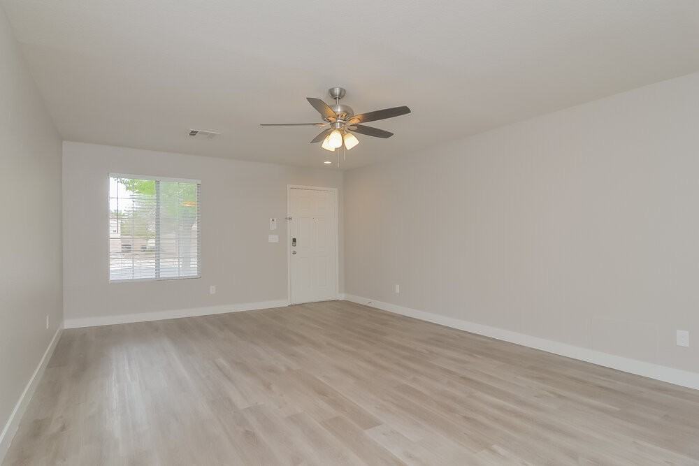 705 Orchid Tree Ln - Photo 5 of 19