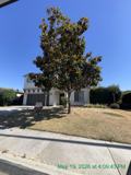 2020 Golden Way - Photo 1 of 1