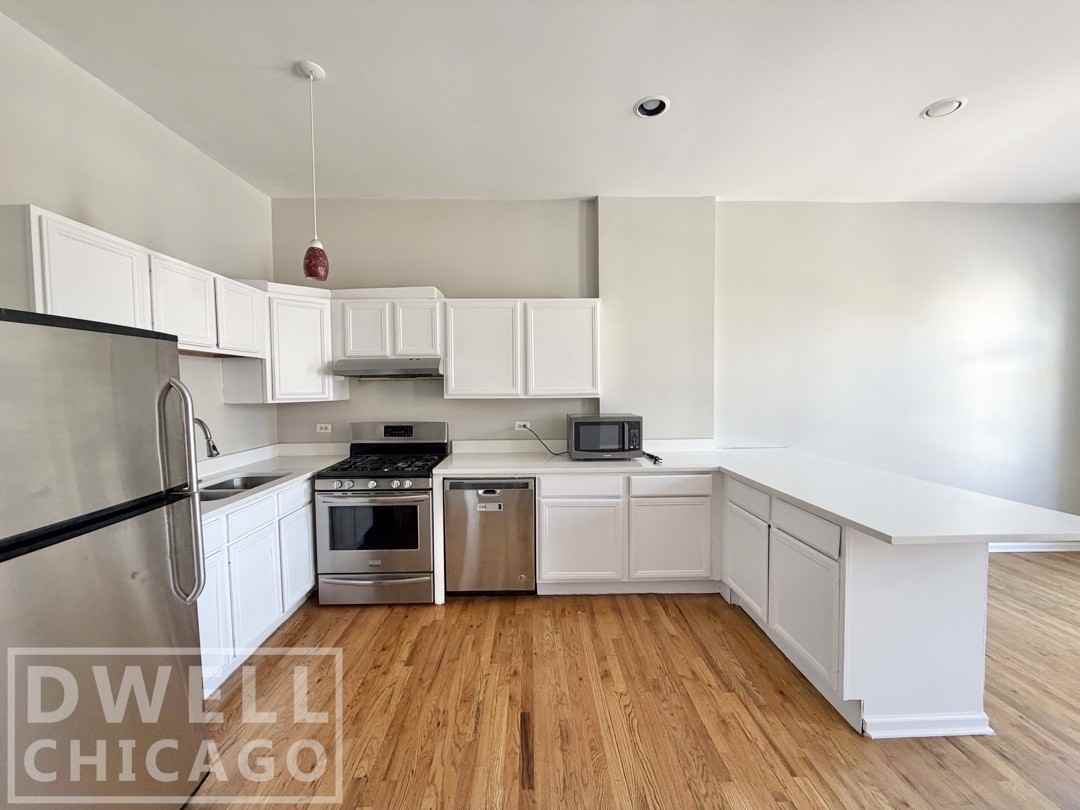 1903 S Blue Island Ave #2 - Photo 5 of 23