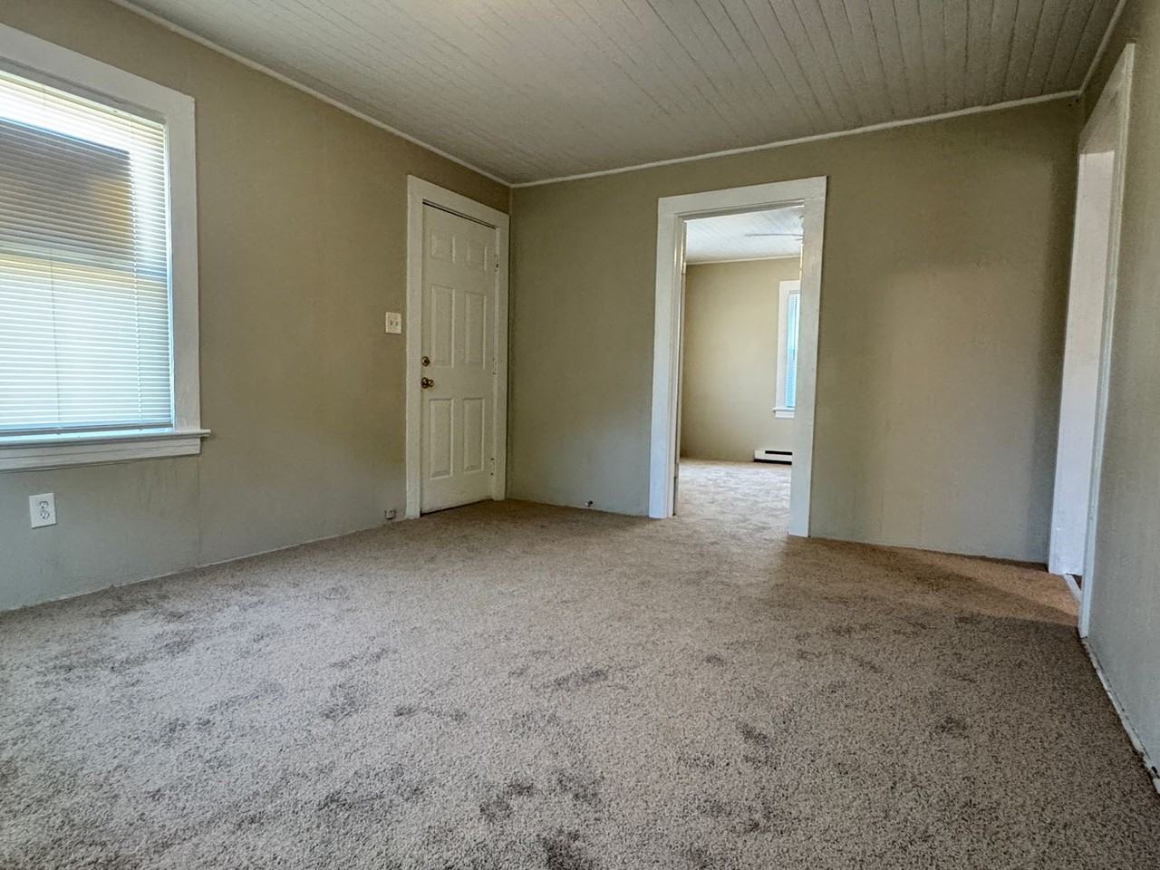 223 Woodbury St - Photo 3 of 16