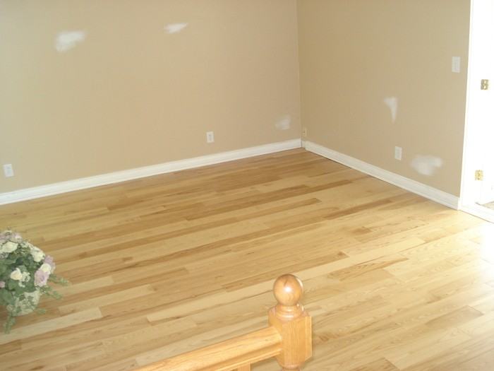 8783 Lozen Dr - Photo 3 of 17