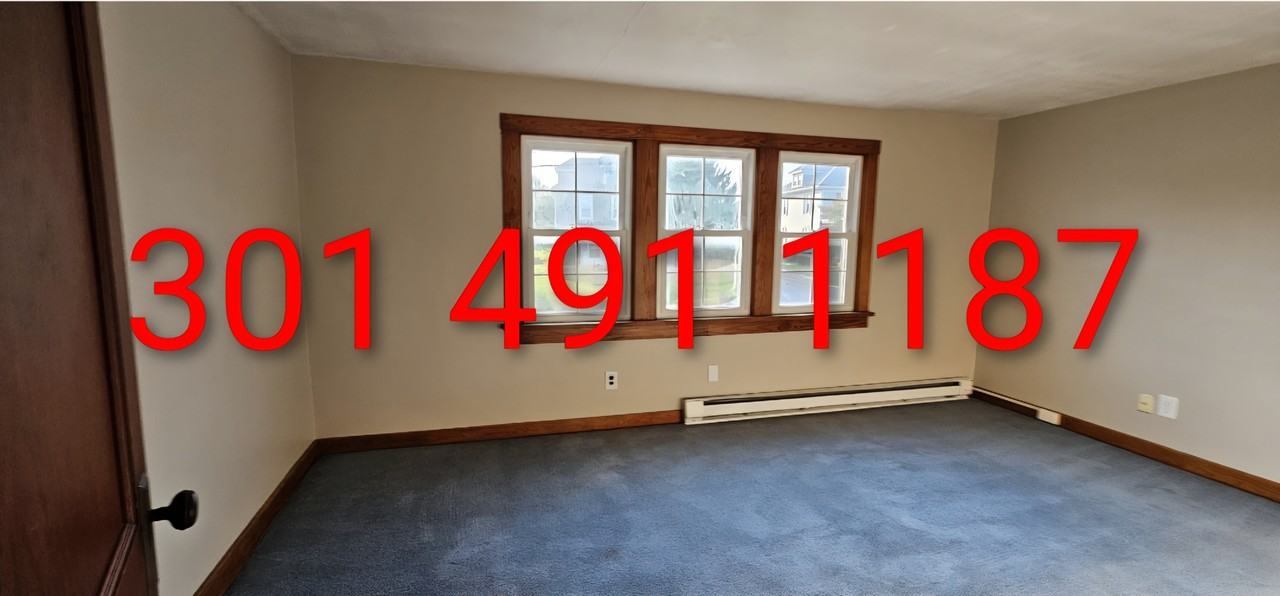 5317 Main St #NA - Photo 6 of 22