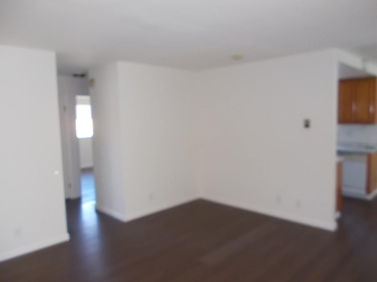 683 Shepherd Ave #D - Photo 3 of 14