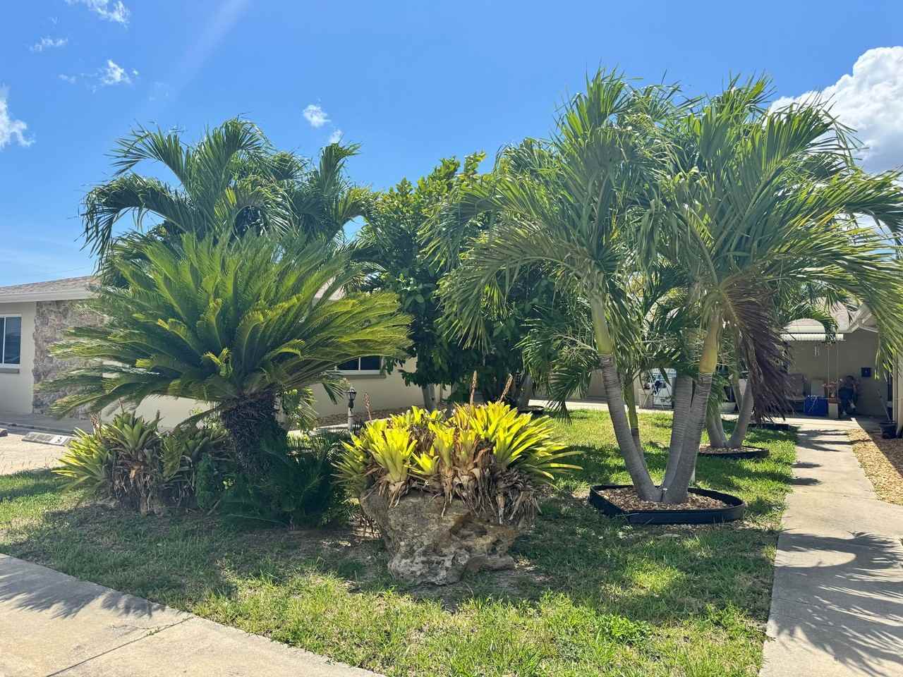 4808 Lucaya Dr - Photo 2 of 2
