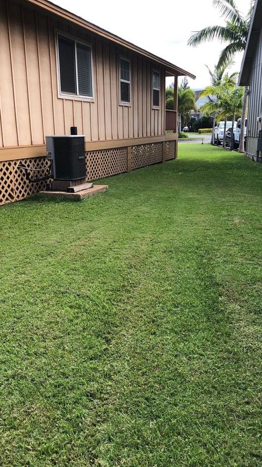 17 Waiapo St - Photo 4 of 22