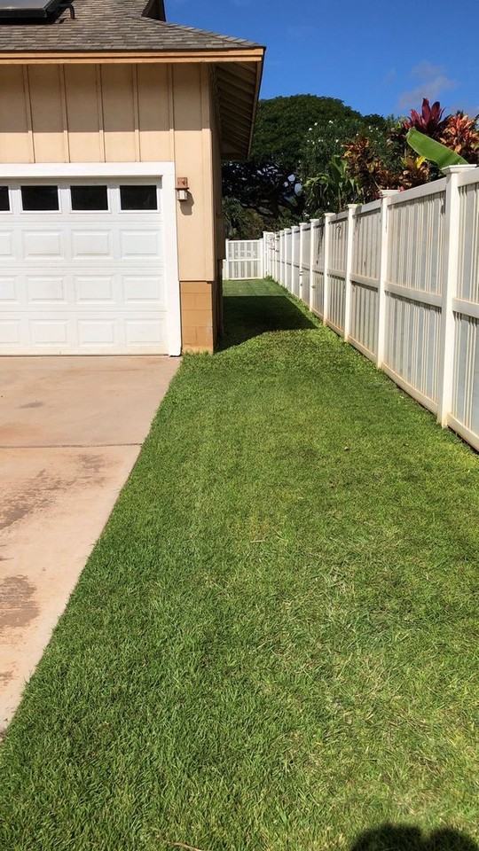 17 Waiapo St - Photo 5 of 22