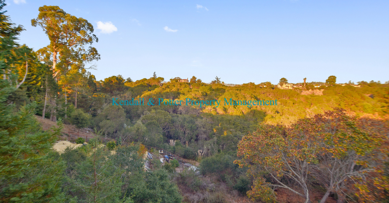544 Cuesta Dr - Photo 6 of 41