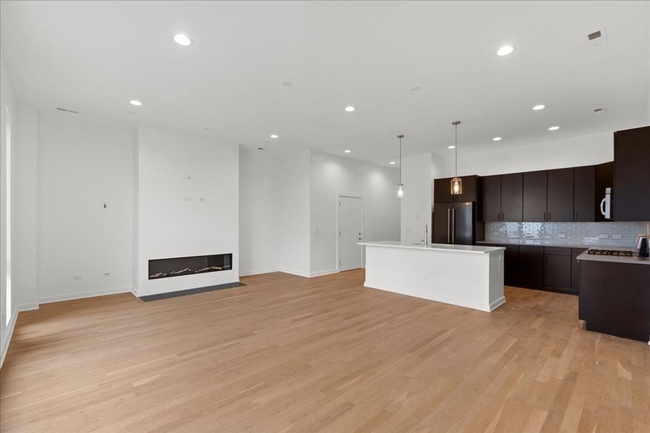1651 W Chicago Ave #3W - Photo 2 of 13