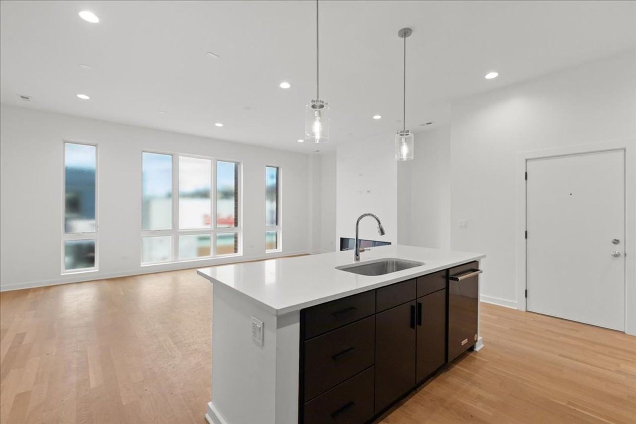 1651 W Chicago Ave #3W - Photo 4 of 13