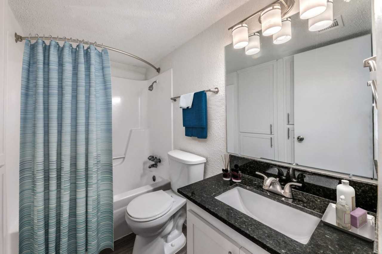 Emerson Apartments at Town Lake - Photo 3 of 29