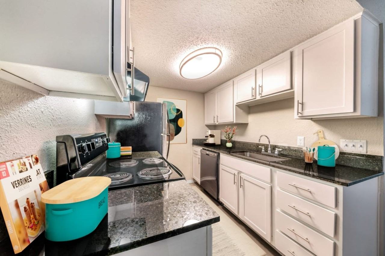 Emerson Apartments at Town Lake - Photo 4 of 29