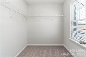 5137 Tommy Ln - Photo 4 of 18