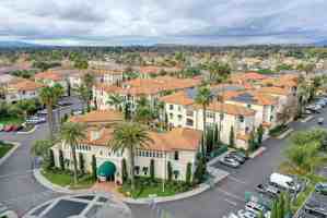 featured image of 250 Palm Valley Blvd
