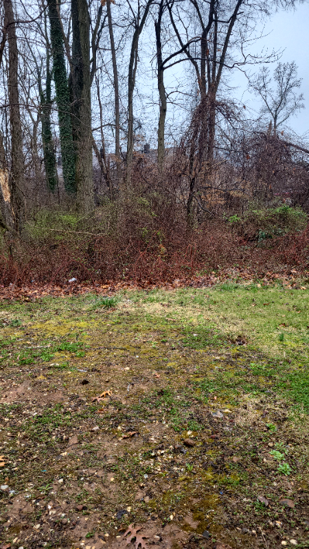 6463 Woodgreen Cir - Photo 4 of 10