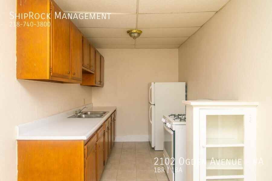 2102 Ogden Ave #A - Photo 6 of 12