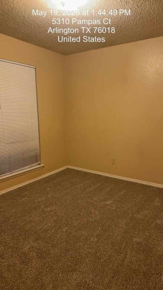 5310 Pampas Ct - Photo 7 of 12