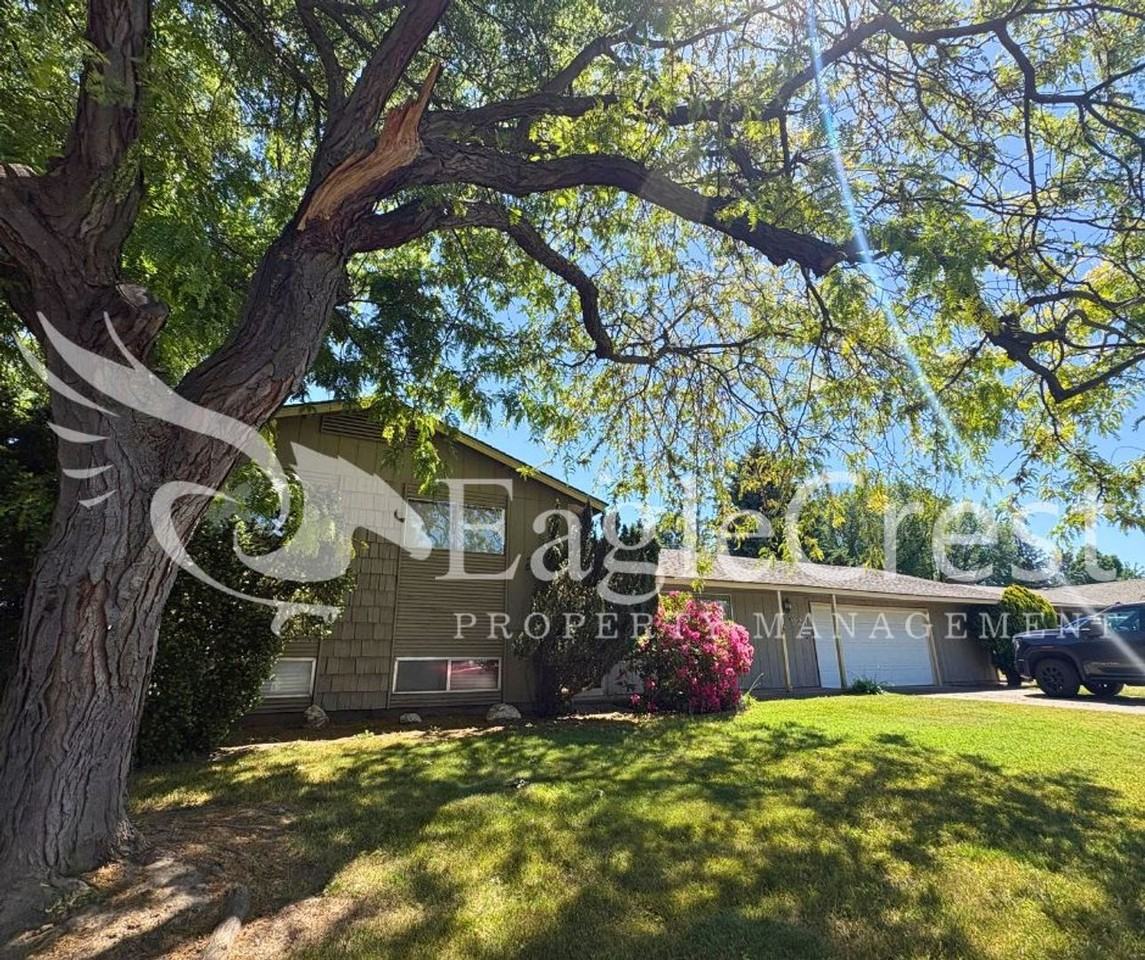 924 Shasta Dr - Photo 3 of 48