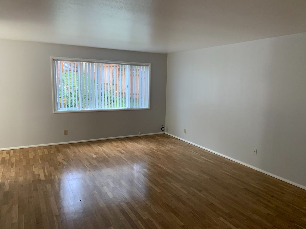 4920 Nectar Way - Photo 7 of 14