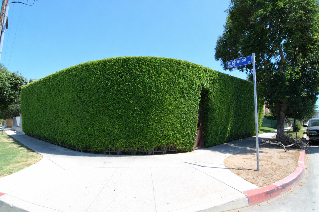 6730 Balboa Blvd - Photo 3 of 19
