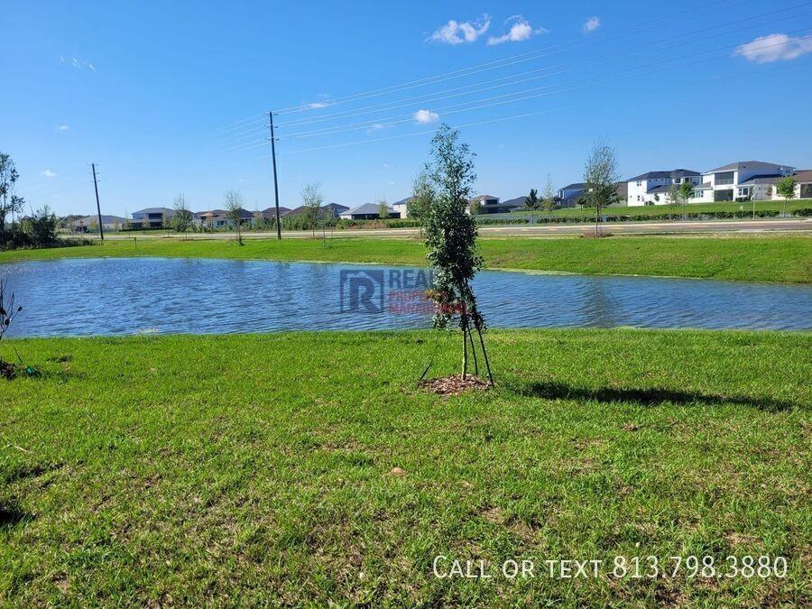 32323 Turtle Grace Loop - Photo 2 of 25