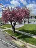 2501 Maytime Dr #NA - Photo 1 of 1