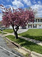 featured image of 2501 Maytime Dr #NA