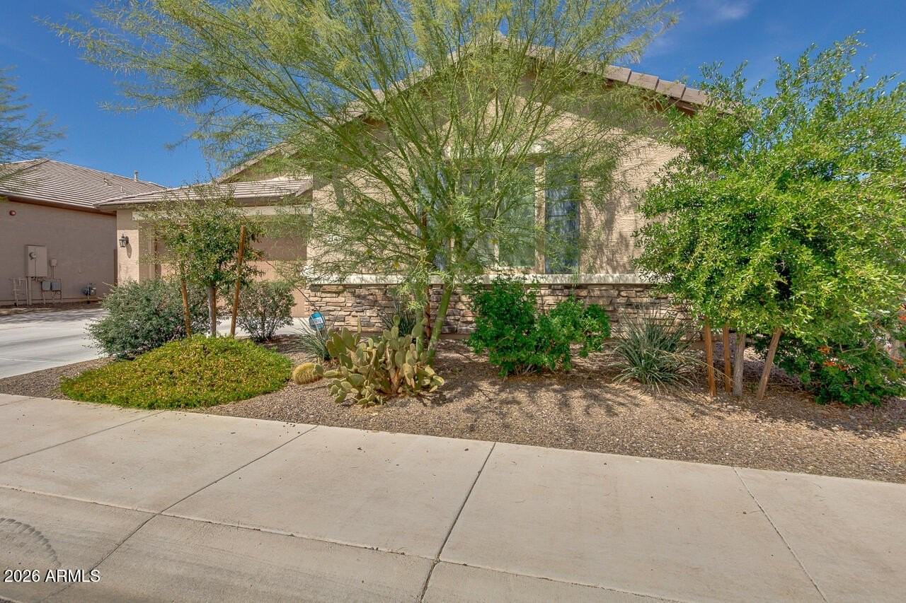 21450 W Almeria Rd - Photo 3 of 40