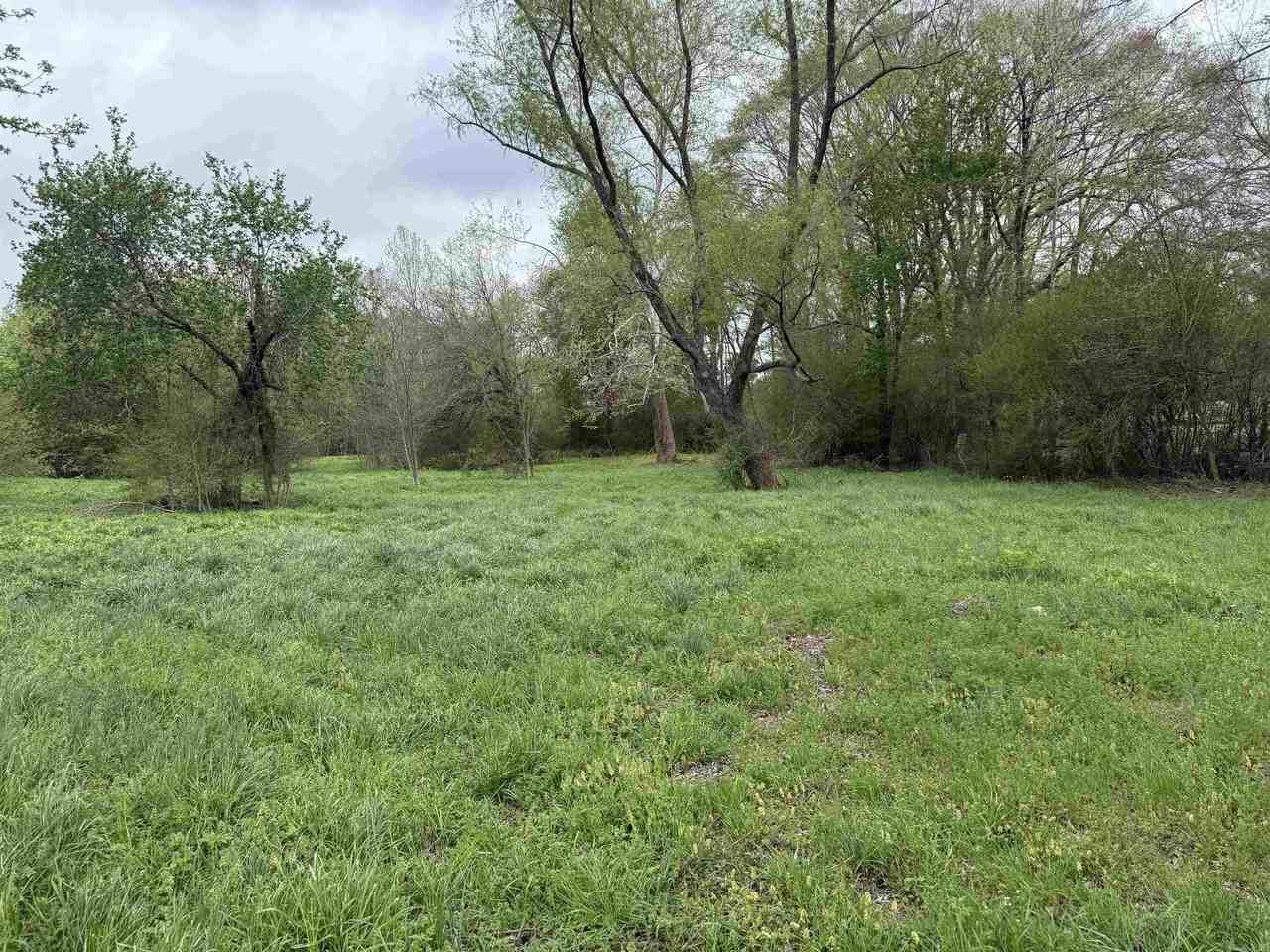 2728 Highway 157 - Photo 5 of 8