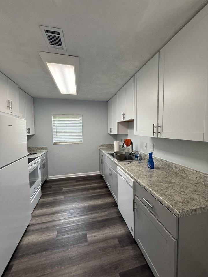509 Trenton St - Photo 6 of 15