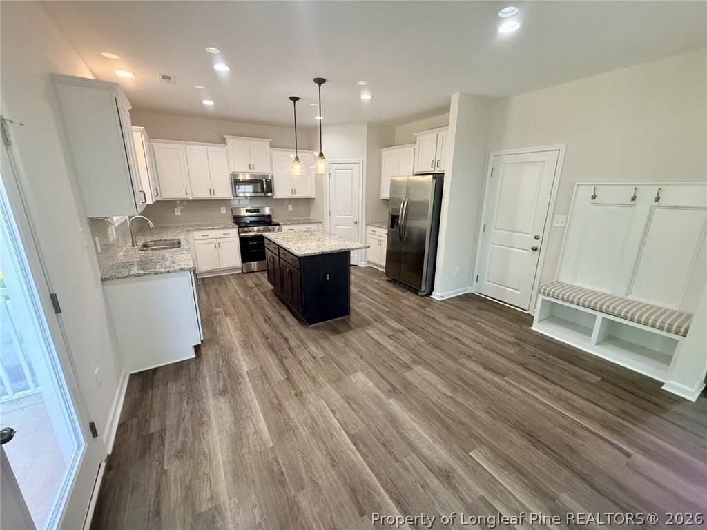 203 Williford Dr - Photo 3 of 20