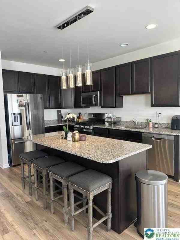585 Gray Feather Way - Photo 5 of 19