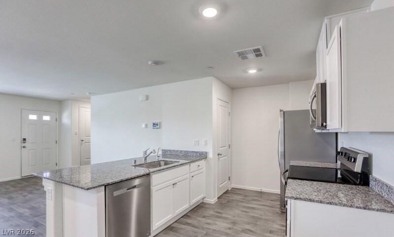 1161 Meadow Sparrow Pl - Photo 3 of 19
