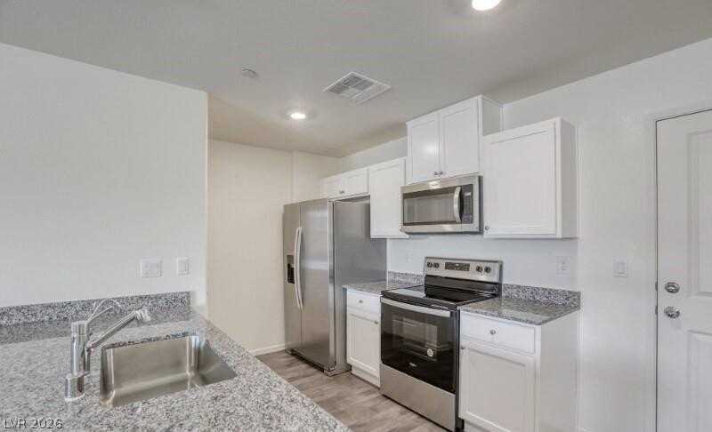 1161 Meadow Sparrow Pl - Photo 4 of 19