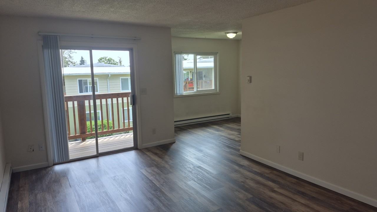 Country Pines - Photo 3 of 50