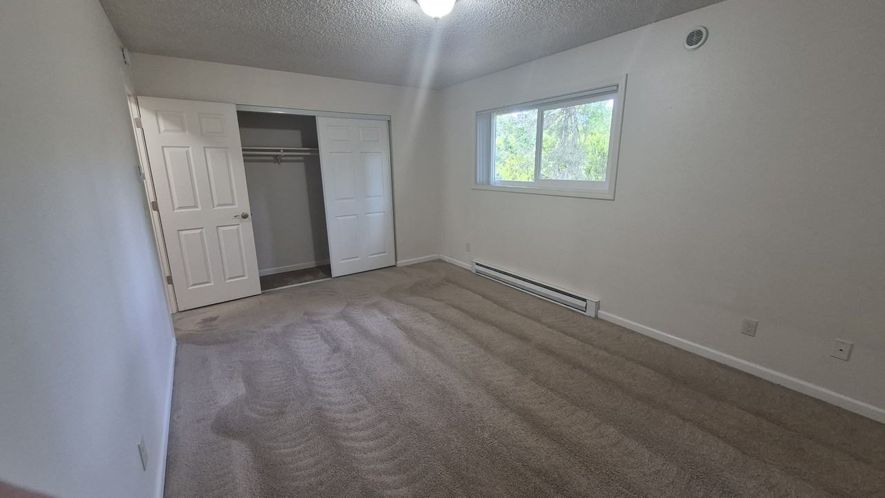 Country Pines - Photo 5 of 50