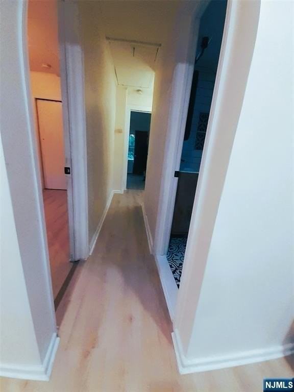 213 Elm Ave #2FL - Photo 7 of 15