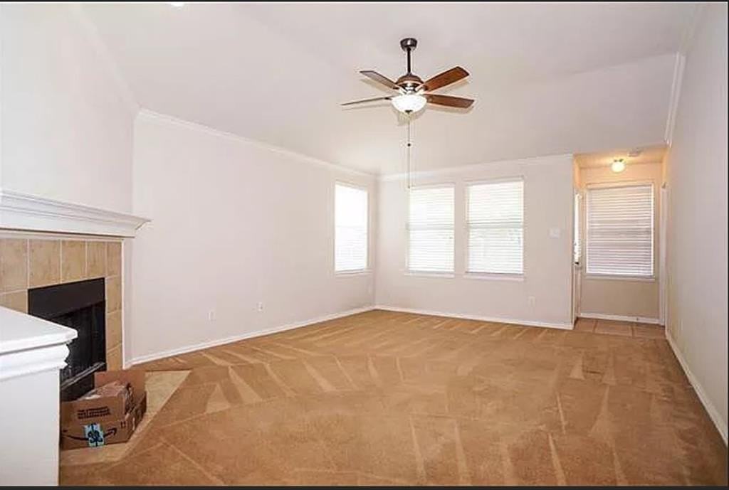 1820 Ringtail Dr - Photo 2 of 13