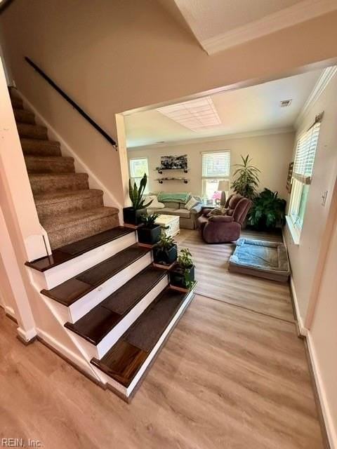 4708 Glencoe Ln - Photo 6 of 29
