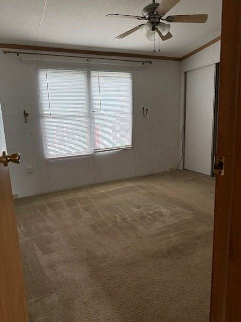 7114 Maple St - Photo 6 of 7