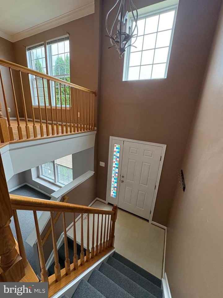 4719 Witchhazel Way - Photo 3 of 23