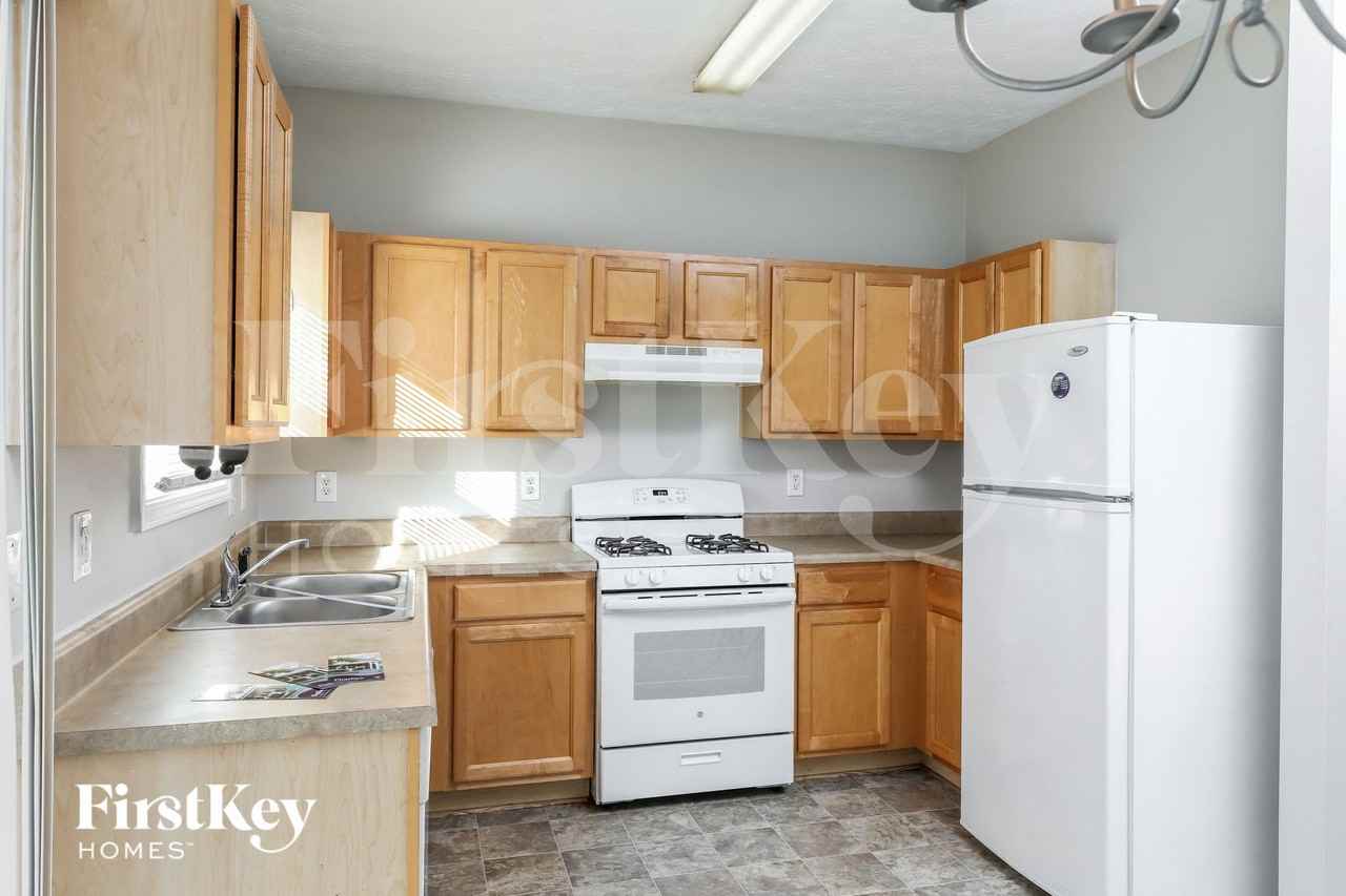 269 Hardy Lillies Dr - Photo 5 of 15