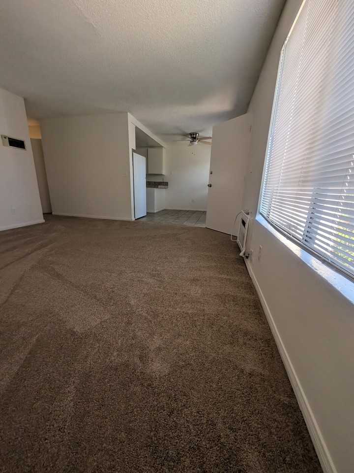1054 S Magnolia Ave #8 - Photo 4 of 50